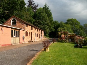 PENTAX DIGITAL CAMERA